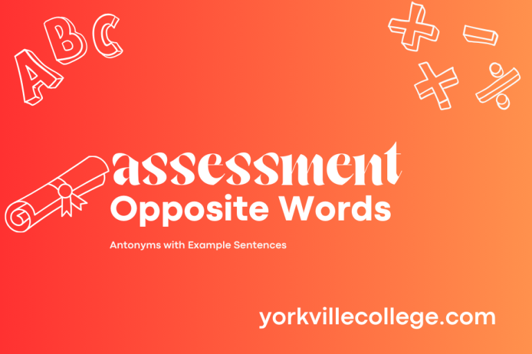 Opposite of Assessment