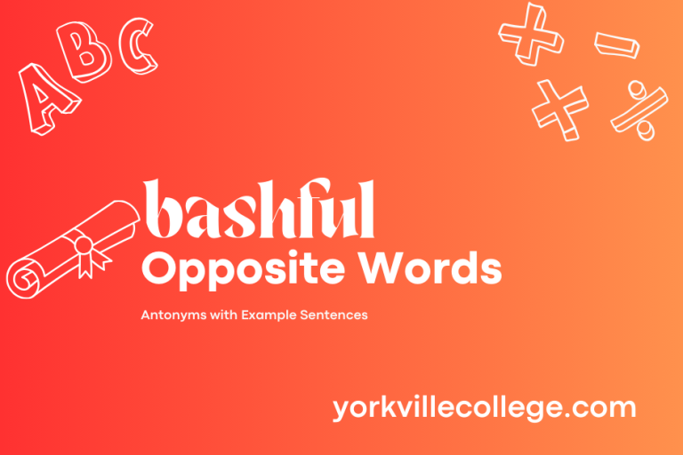 Opposite of Bashful