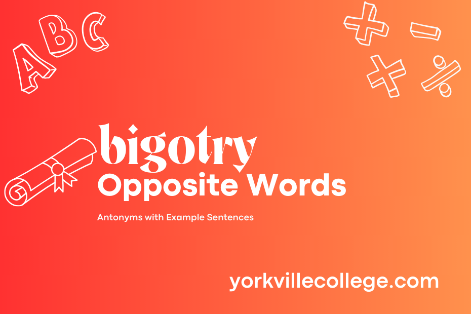 Opposite of Bigotry