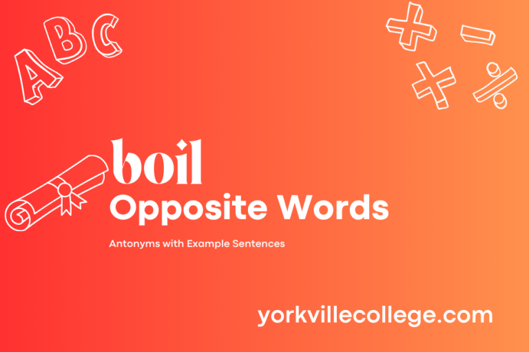 Opposite of Boil