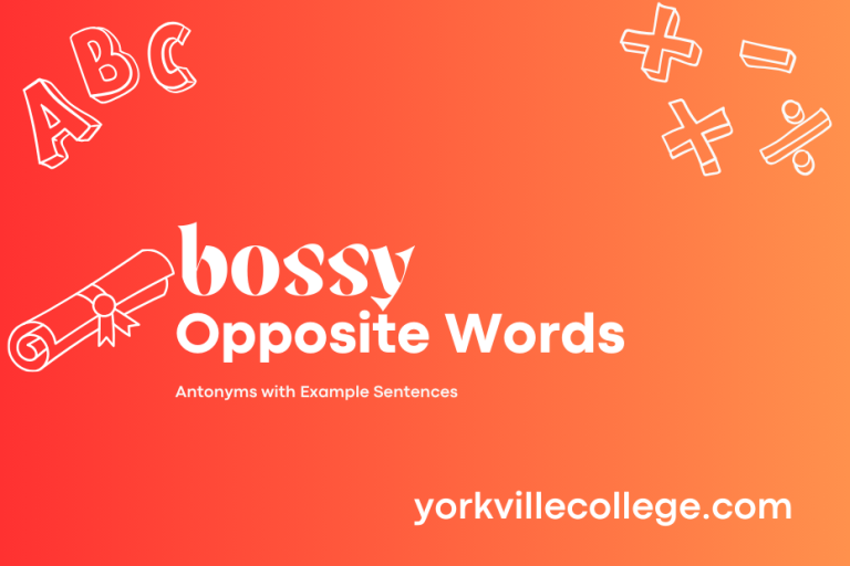 Opposite of Bossy