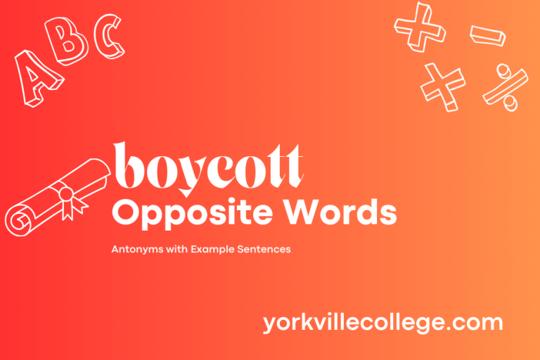 Opposite of Boycott