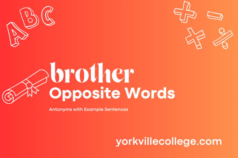 Opposite of Brother