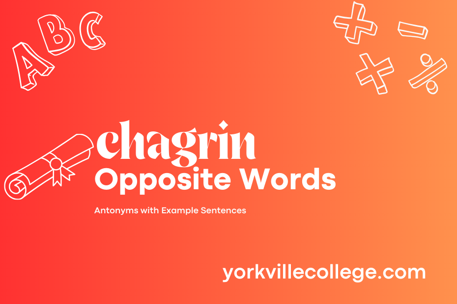 Opposite of Chagrin