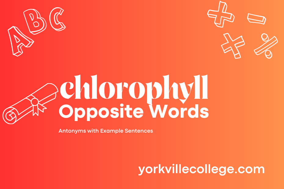 Opposite of Chlorophyll