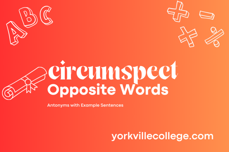 Opposite of Circumspect