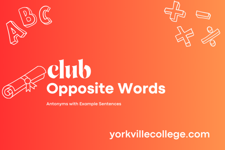 Opposite of Club