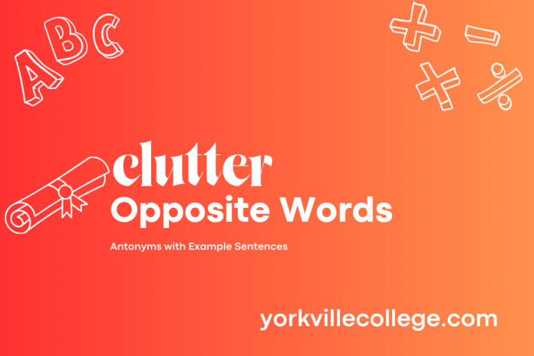 Opposite of Clutter