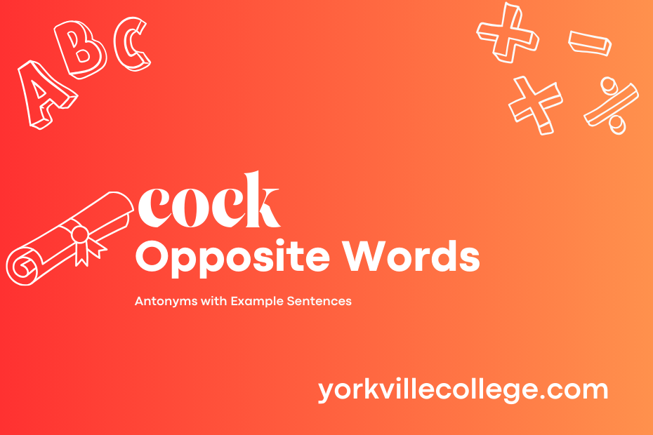 Opposite of Cock