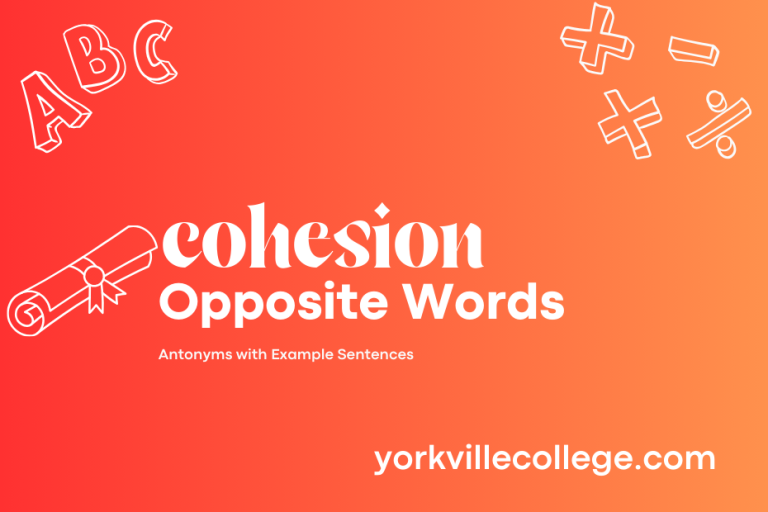 Opposite of Cohesion