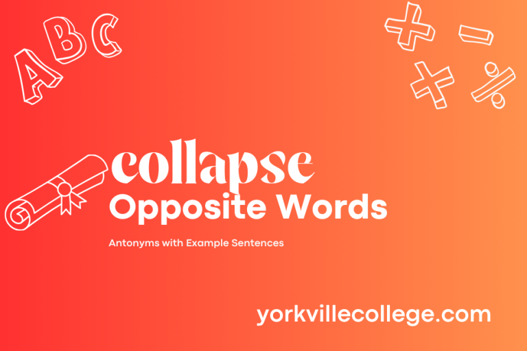 Opposite of Collapse