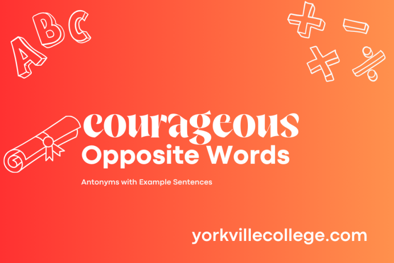 Opposite of Courageous