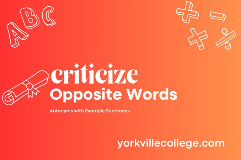 Opposite of Criticize