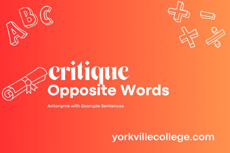 Opposite of Critique