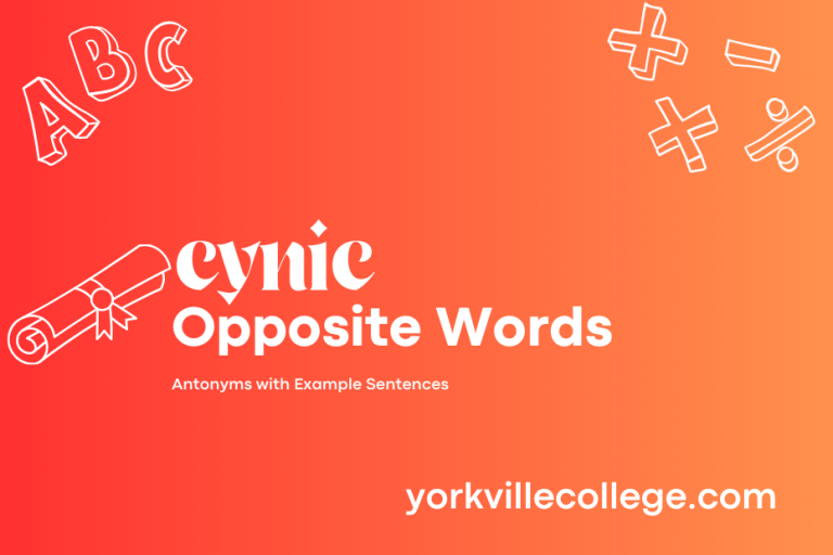 Opposite of Cynic