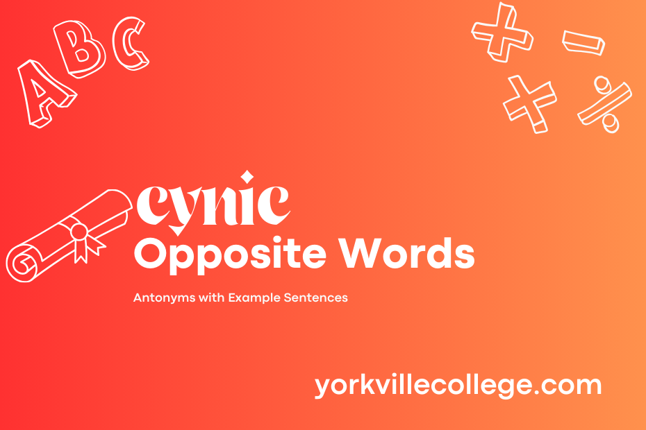 Opposite of Cynic