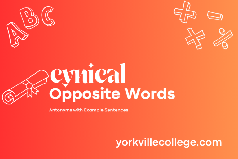 Opposite of Cynical