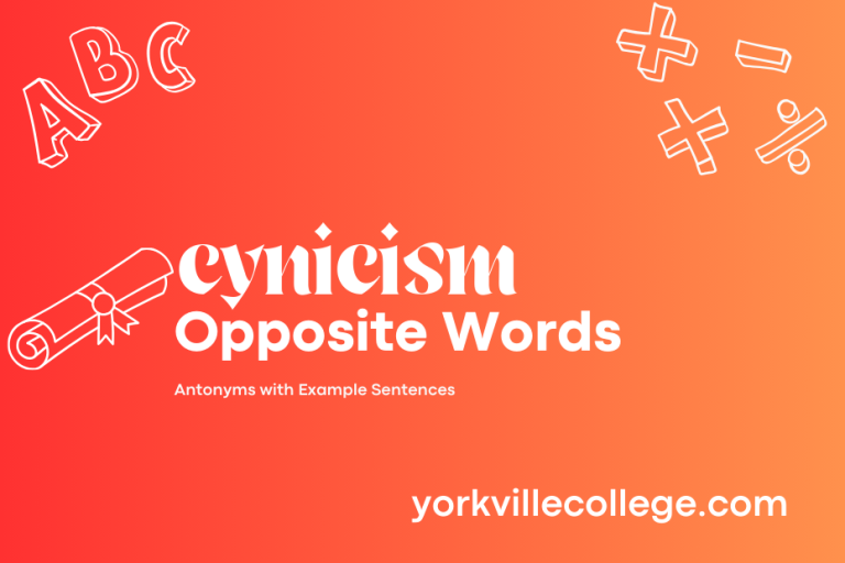 Opposite of Cynicism