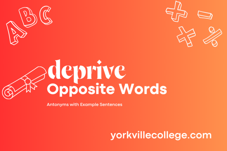 Opposite of Deprive