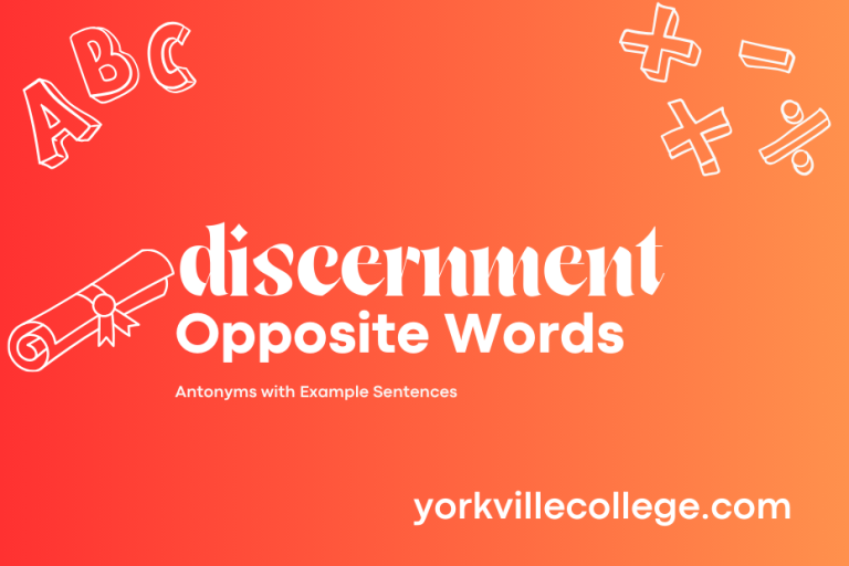 Opposite of Discernment