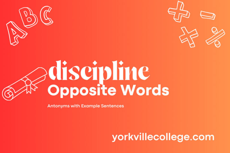 Opposite of Discipline