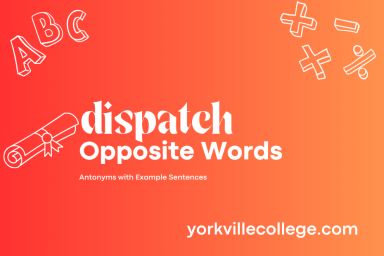 Opposite of Dispatch