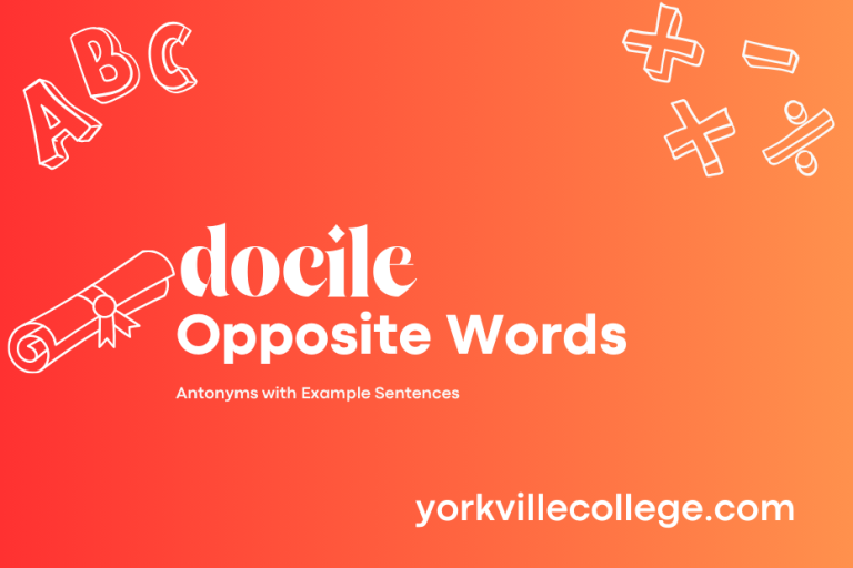 Opposite of Docile