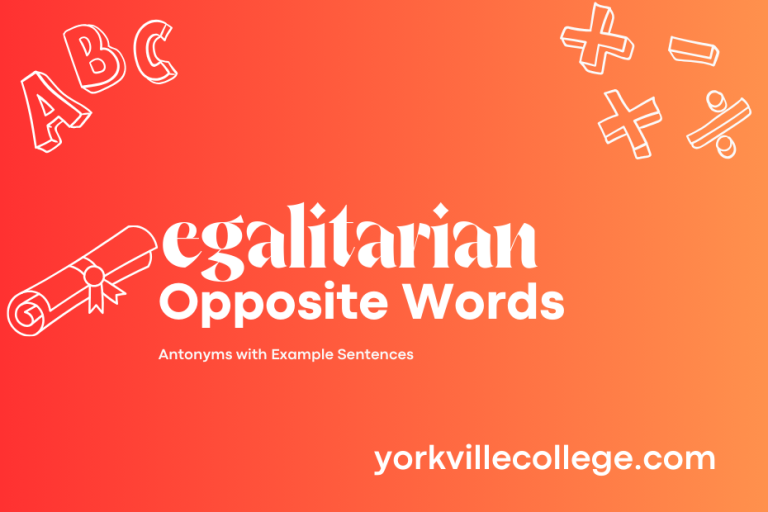 Opposite of Egalitarian