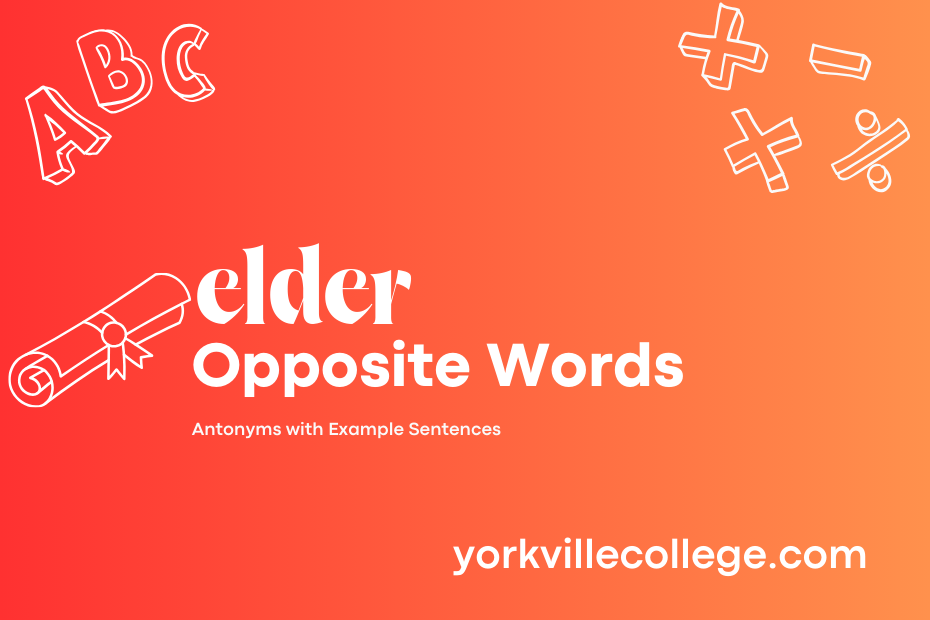 Opposite of Elder