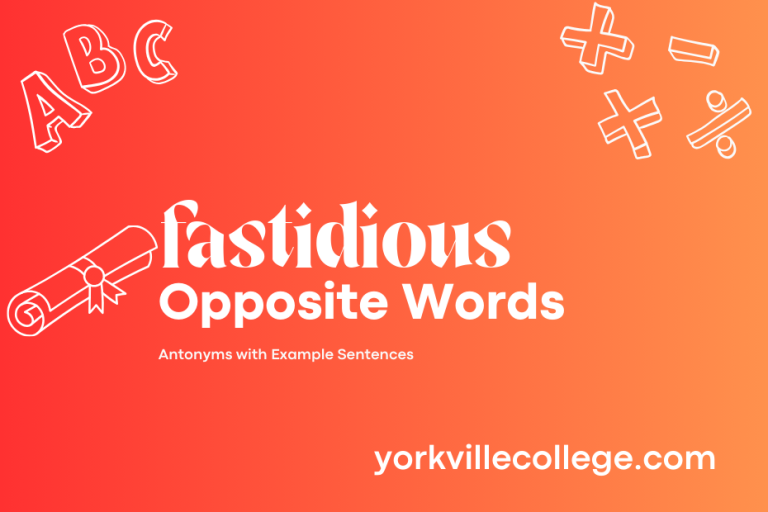 Opposite of Fastidious