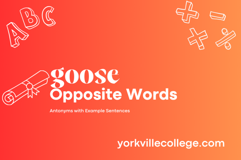 Opposite of Goose