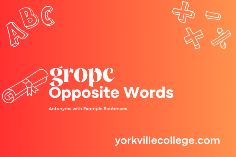 Opposite of Grope