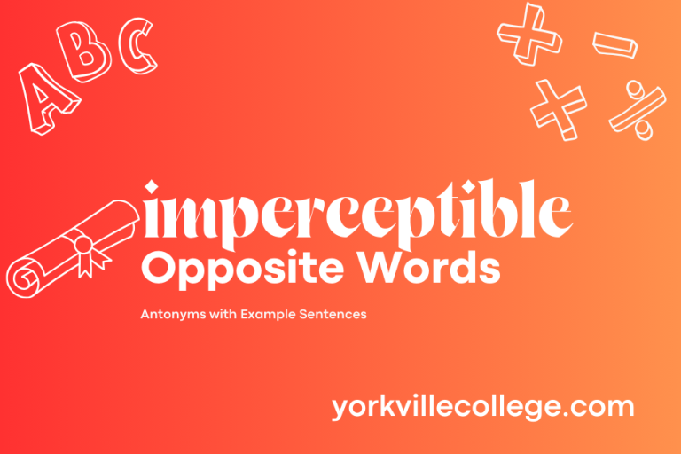 Opposite of Imperceptible