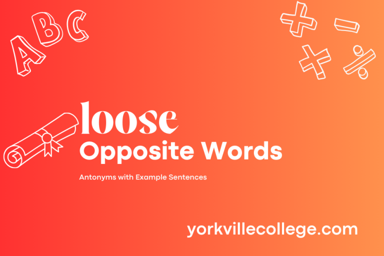 Opposite of Loose