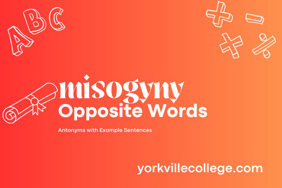 Opposite of Misogyny