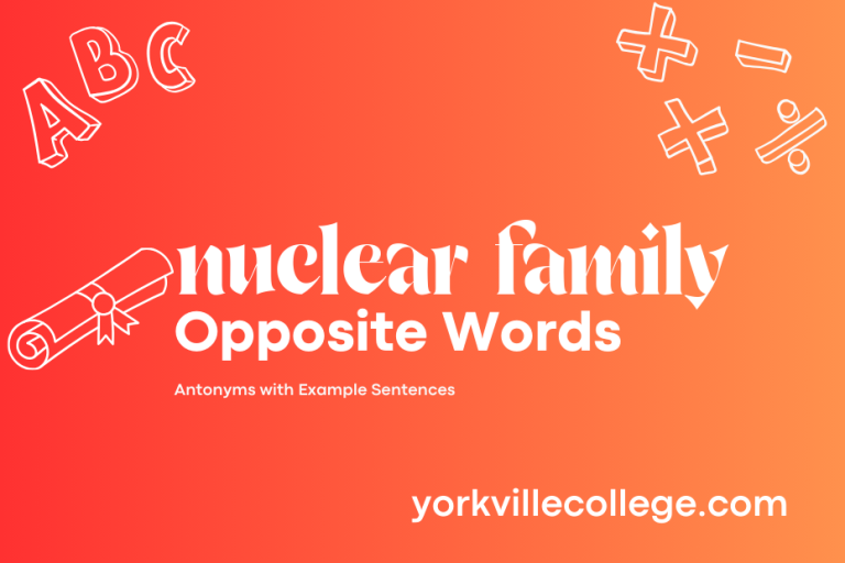 Opposite of Nuclear Family