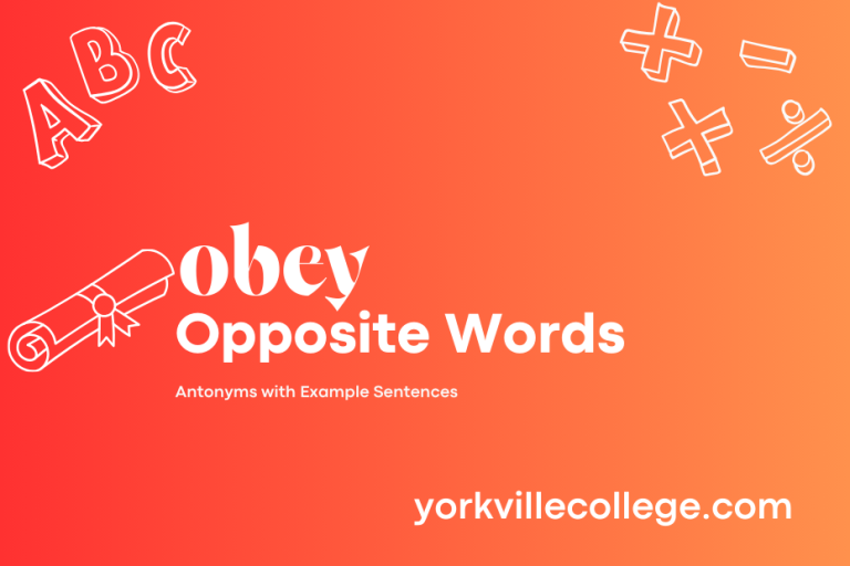 Opposite of Obey