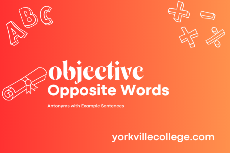 Opposite of Objective