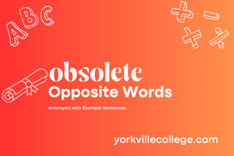 Opposite of Obsolete