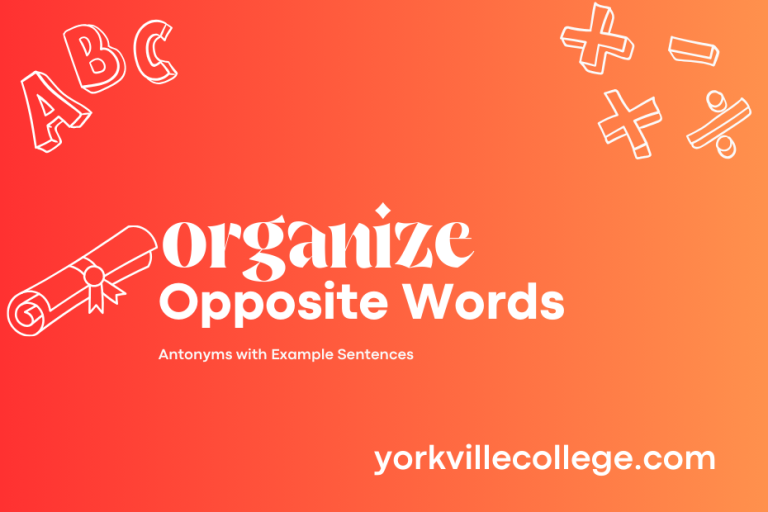 Opposite of Organize