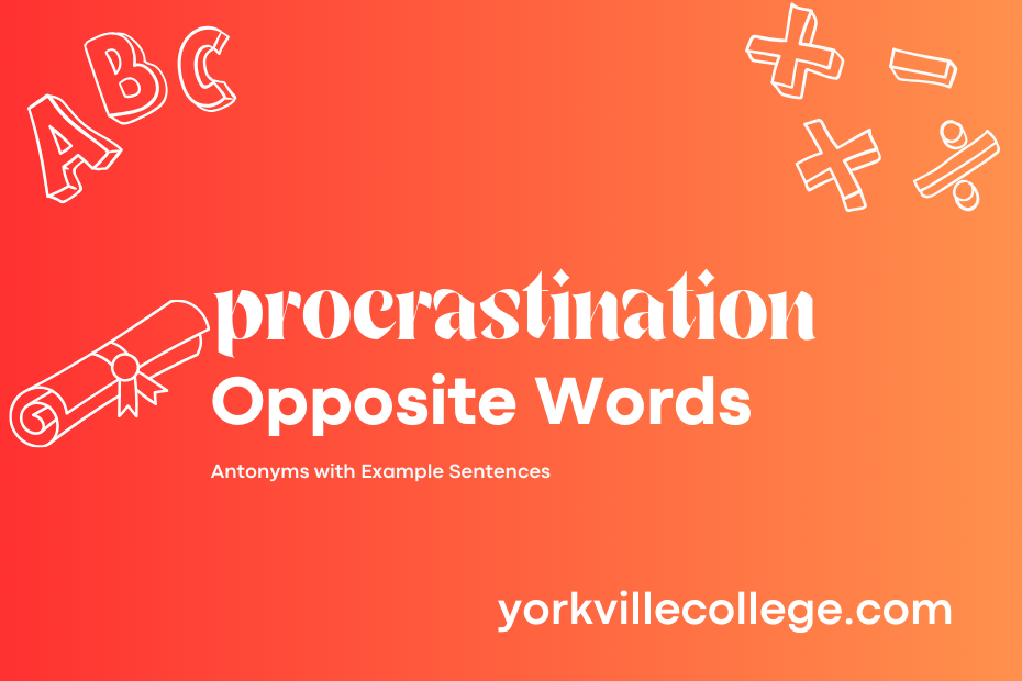 Opposite of Procrastination