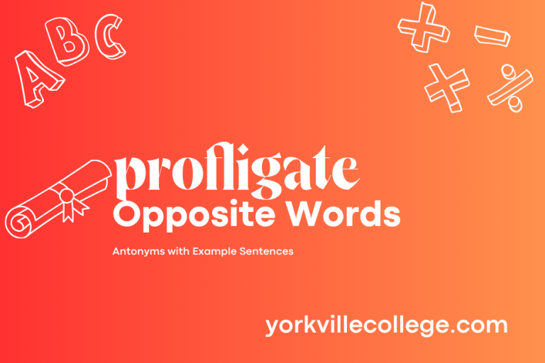 Opposite of Profligate