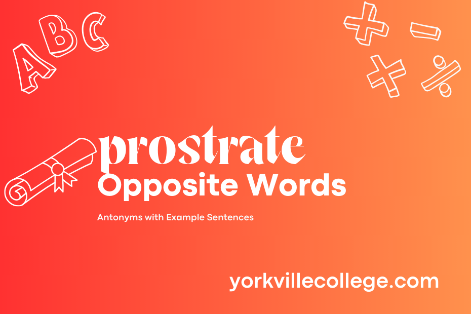 Opposite of Prostrate