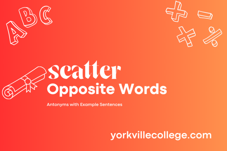 Opposite of Scatter