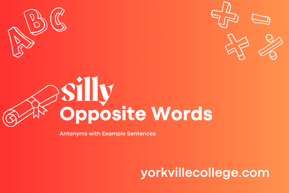 Opposite of Silly