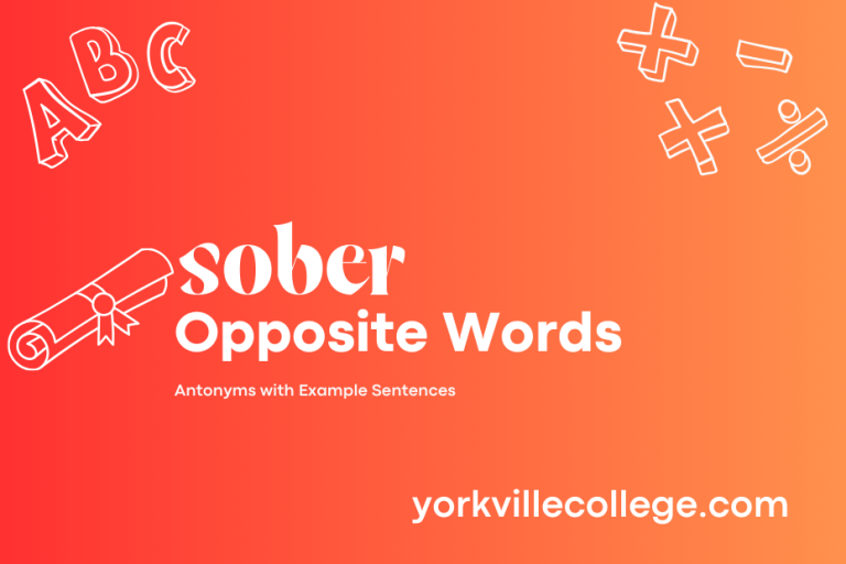 Opposite of Sober