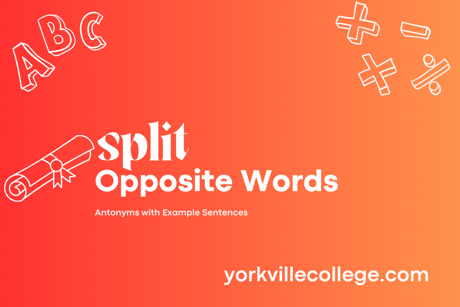 Opposite of Split