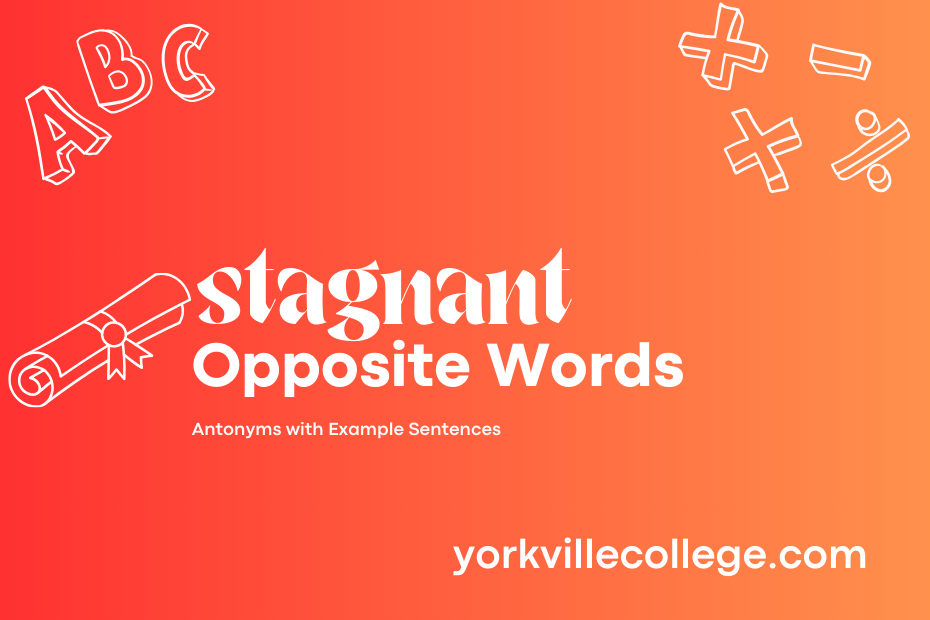 What Is The Opposite of Stagnant? - Example Sentences