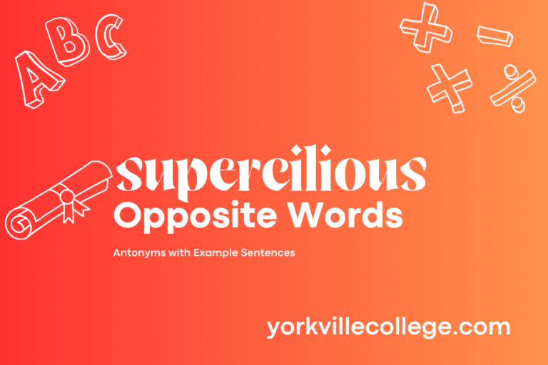 Opposite of Supercilious