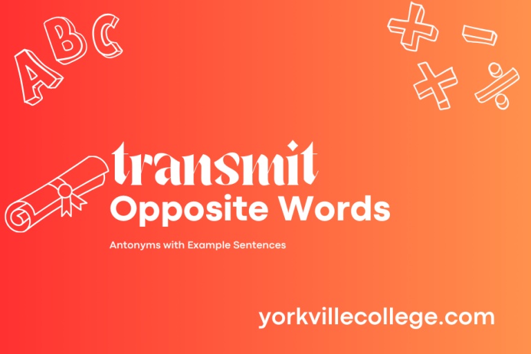 Opposite of Transmit